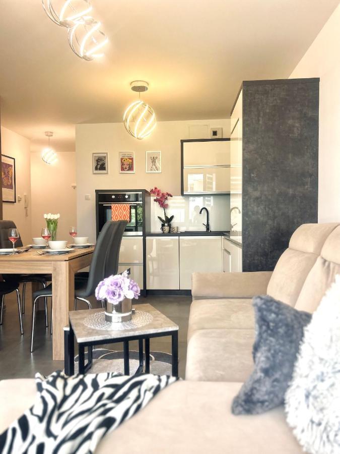 Downtownapartments Andy Air-Conditioned, Underground Parking Available Rzeszów Εξωτερικό φωτογραφία