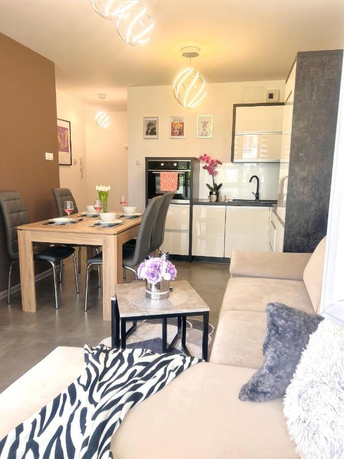 Downtownapartments Andy Air-Conditioned, Underground Parking Available Rzeszów Εξωτερικό φωτογραφία