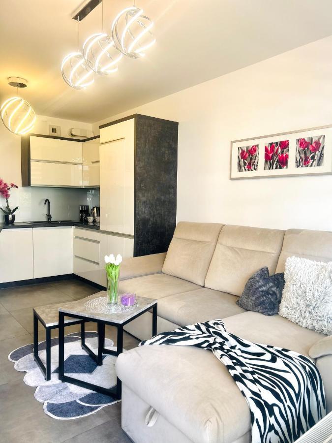 Downtownapartments Andy Air-Conditioned, Underground Parking Available Rzeszów Εξωτερικό φωτογραφία